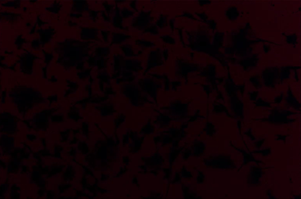 A black and red background Description automatically generated