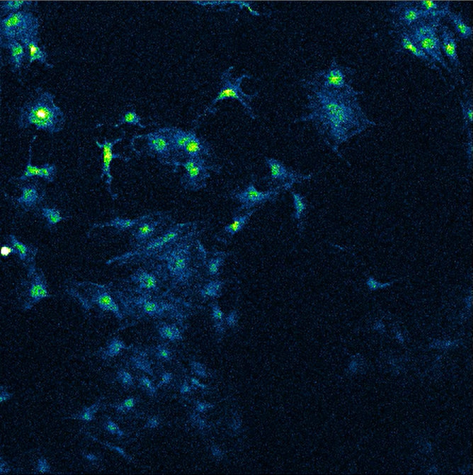 A blue and green light Description automatically generated