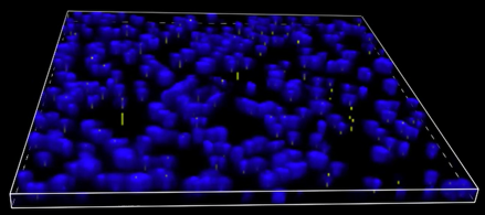 A blue and yellow dots Description automatically generated with medium confidence