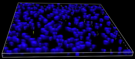 A blue and yellow lights Description automatically generated with medium confidence