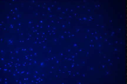 A blue background with small dots Description automatically generated with medium confidence