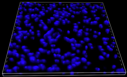 A blue dots on a black background Description automatically generated