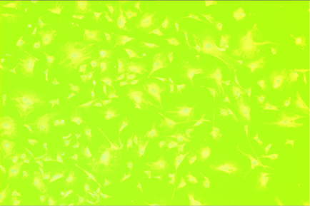 A bright green background with white dots Description automatically generated
