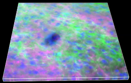 A close-up of a blue and green spot Description automatically generated