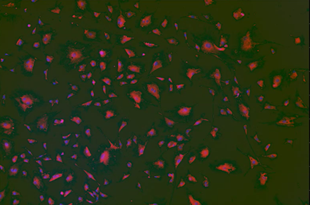 A close up of a colorful pattern Description automatically generated with medium confidence