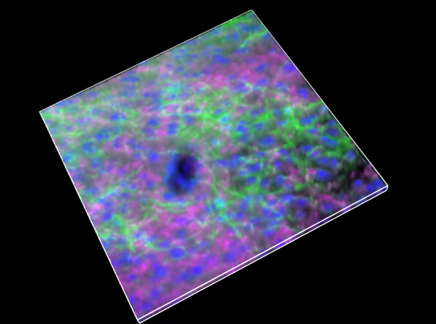 A close-up of a colorful surface Description automatically generated