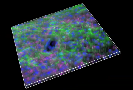 A close-up of a colorful surface Description automatically generated