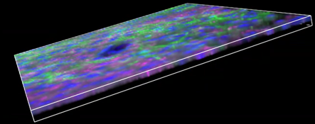 A close-up of a colorful surface Description automatically generated