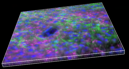 A close-up of a colorful surface Description automatically generated