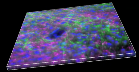 A close-up of a colorful surface Description automatically generated