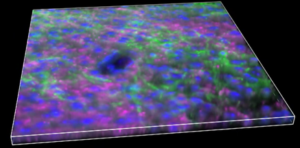 A close-up of a colorful surface Description automatically generated