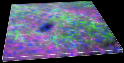 A close-up of a colorful surface Description automatically generated