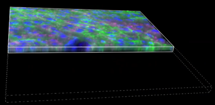 A close-up of a colorful surface Description automatically generated