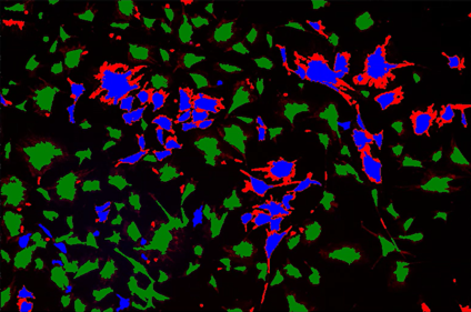 A close up of a plantDescription automatically generated