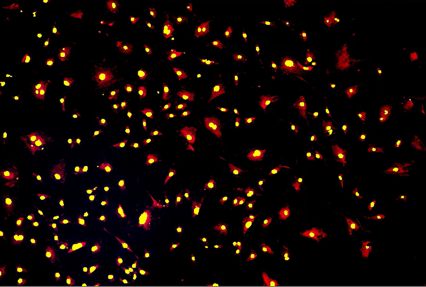 A group of red and yellow lightsDescription automatically generated