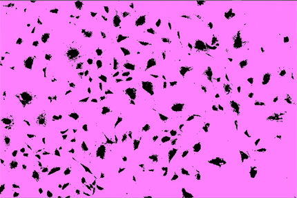 A pink background with black spots Description automatically generated