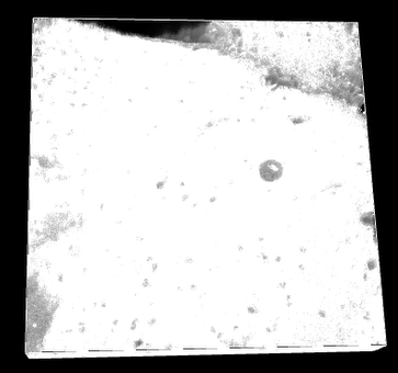 A white surface with black background Description automatically generated with medium confidence