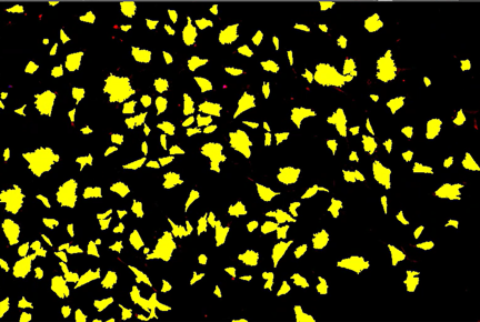 A yellow and black backgroundDescription automatically generated