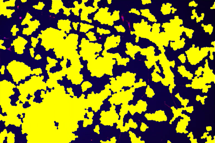 A yellow and blue backgroundDescription automatically generated