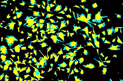 A yellow and blue spots on a black backgroundDescription automatically generated